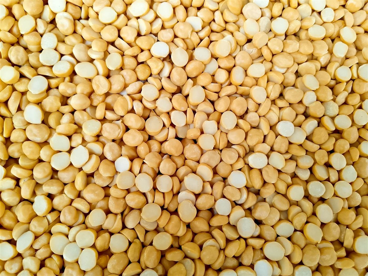 Premium export quality pulses and lentils